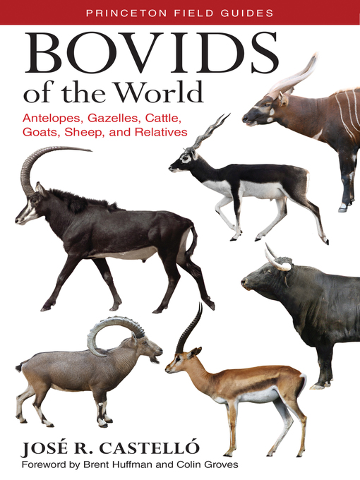 Title details for Bovids of the World by José R. Castelló - Wait list